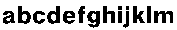 Neue Montreal Text Variable Bold FONT