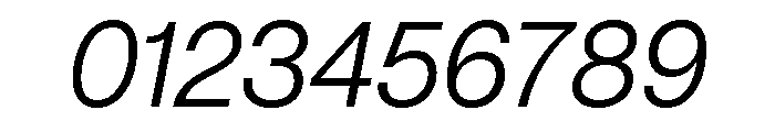 Neue Montreal Text Variable Book Italic Font OTHER CHARS