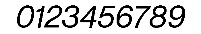 Neue Montreal Text Variable Italic Font OTHER CHARS