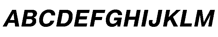 Neue Montreal Text Variable Semibold Italic Font UPPERCASE