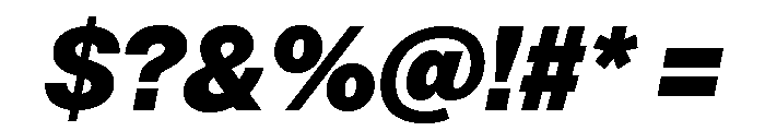 Neue Montreal Variable Black Italic Font OTHER CHARS