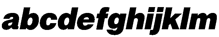 Neue Montreal Variable Black Italic FONT