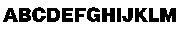 Neue Montreal Variable Black Font UPPERCASE