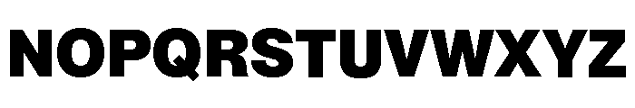 Neue Montreal Variable Black Font UPPERCASE