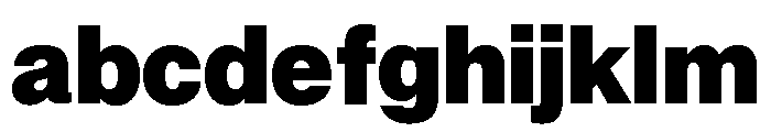 Neue Montreal Variable Black FONT