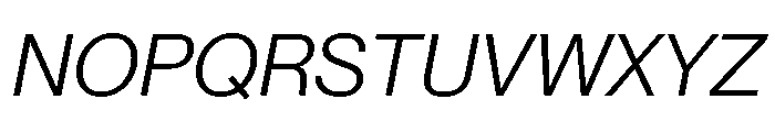 Neue Montreal Variable Book Italic Font UPPERCASE