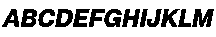 Neue Montreal Variable Extrabold Italic Font UPPERCASE