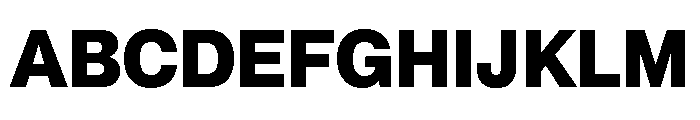 Neue Montreal Variable Extrabold Font UPPERCASE