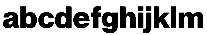 Neue Montreal Variable Extrabold FONT