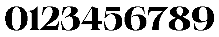 Neue World Semi Extended Bold Font OTHER CHARS