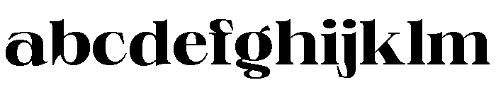 Neue World Semi Extended Bold FONT
