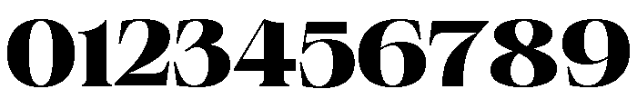 Neue World Semi Extended Ultrabold Font OTHER CHARS