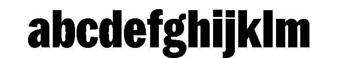 Neue York Black Condensed Italic FONT