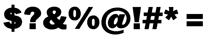 Neue York Black Italic Font OTHER CHARS