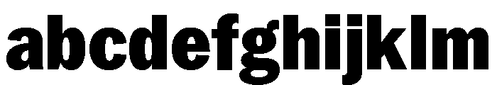 Neue York Black Narrow Italic FONT