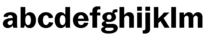 Neue York Bold Italic FONT