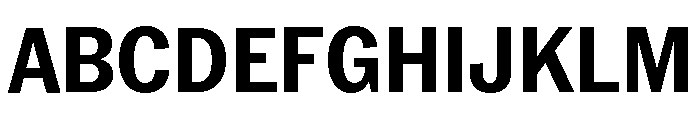 Neue York Bold Narrow Italic Font UPPERCASE