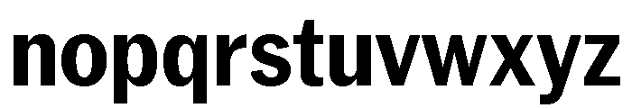Neue York Bold Narrow Italic Font LOWERCASE