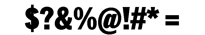 Neue York Condensed Black Condensed Italic Font OTHER CHARS