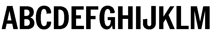 Neue York Condensed Bold Font UPPERCASE