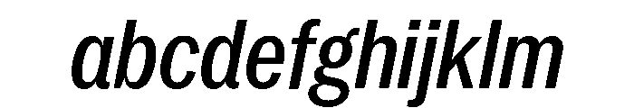 Neue York Condensed Italic 4 FONT