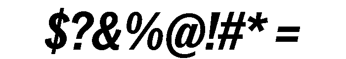 Neue York Condensed Italic 6 Font OTHER CHARS