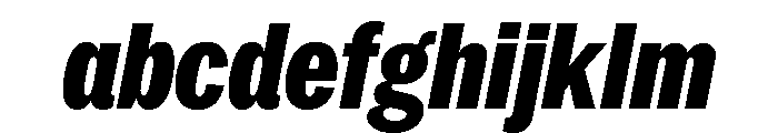 Neue York Condensed Italic 8 FONT