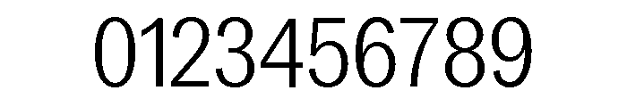 Neue York Condensed Light Condensed Italic Font OTHER CHARS