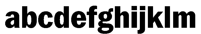 Neue York Extrabold Narrow Italic FONT