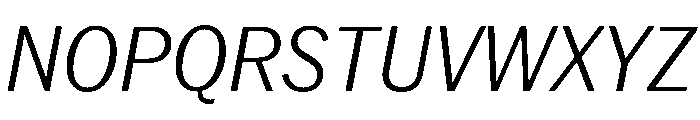 Neue York Italic 10 Font UPPERCASE