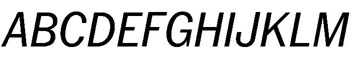 Neue York Italic 11 Font UPPERCASE