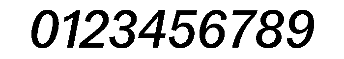 Neue York Italic 12 Font OTHER CHARS