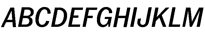 Neue York Italic 12 Font UPPERCASE
