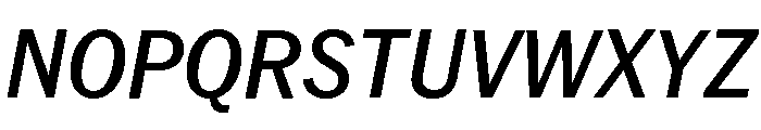 Neue York Italic 12 Font UPPERCASE
