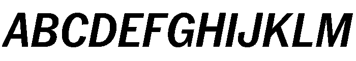 Neue York Italic 13 Font UPPERCASE