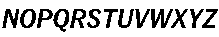 Neue York Italic 13 Font UPPERCASE
