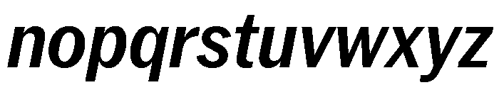 Neue York Italic 13 Font LOWERCASE