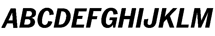Neue York Italic 14 Font UPPERCASE