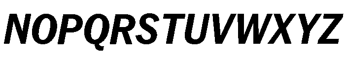 Neue York Italic 14 Font UPPERCASE