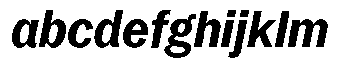 Neue York Italic 14 FONT