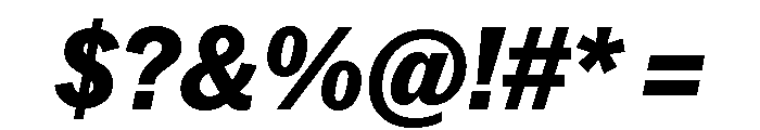 Neue York Italic 15 Font OTHER CHARS