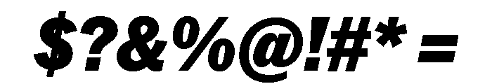 Neue York Italic 16 Font OTHER CHARS