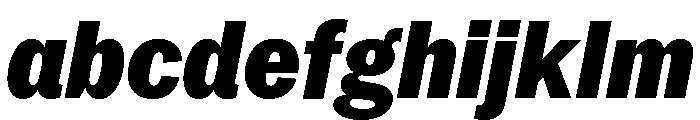 Neue York Italic 16 FONT