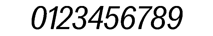 Neue York Italic 19 Font OTHER CHARS