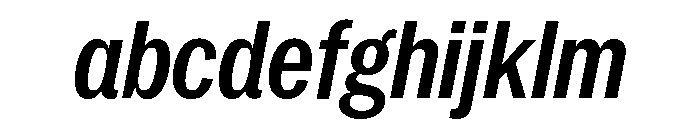 Neue York Italic 21 FONT