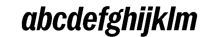 Neue York Italic 22 FONT
