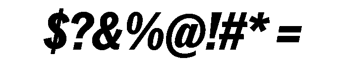 Neue York Italic 23 Font OTHER CHARS