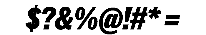 Neue York Italic 24 Font OTHER CHARS
