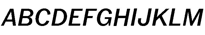 Neue York Italic 4 Font UPPERCASE