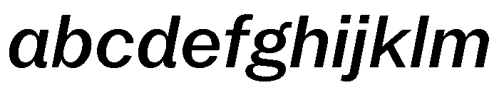 Neue York Italic 4 FONT